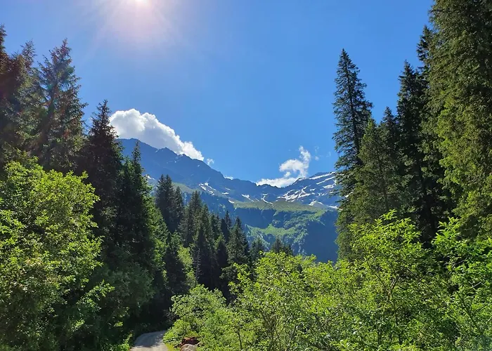 Lejlighed Haus Wohleb