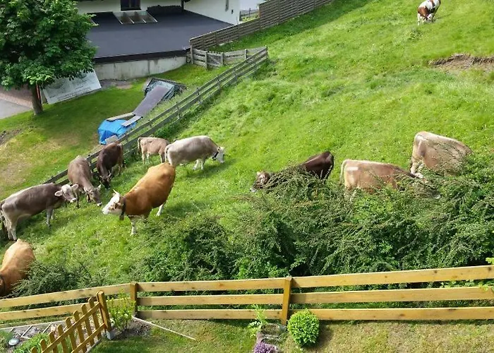 Lejlighed Haus Wohleb